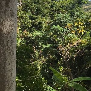 Meet your Posher, Gloria